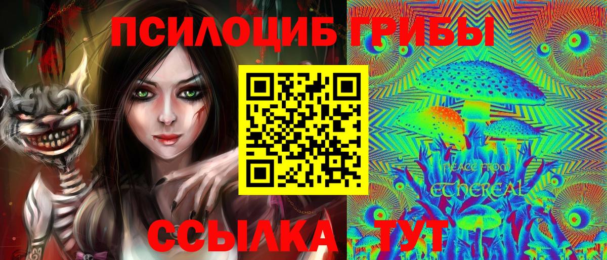 Псилоцибиновые грибы Psilocybe Димитровград