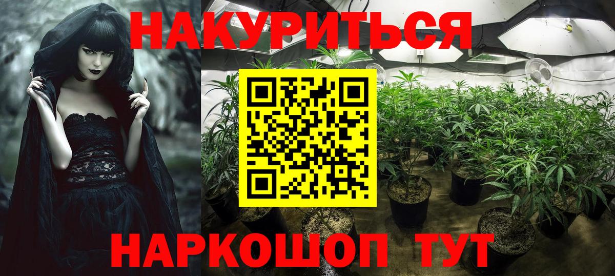 Димитровград  Канабис индика  Вход с VPN  Шишки марихуана семена  МАРИХУАНА AK-47 